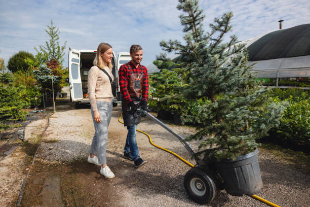 Best Affordable Tree Service  in Cushing, OK